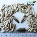 Farinha de girassol, 5009 grãos de sementes de girassol